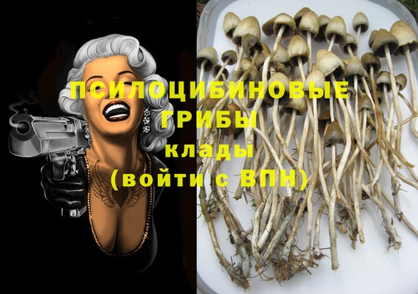 дурь Лиски