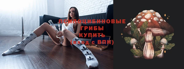 apvp Лихославль